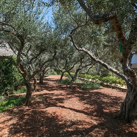 Villa Asterion Deep Blue